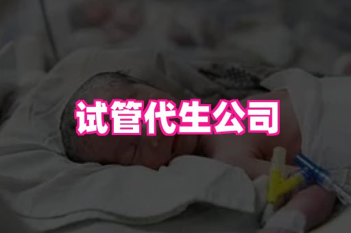 gfg孕网 1