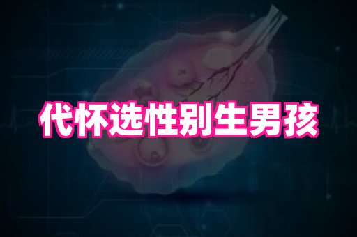 gfg孕网 2