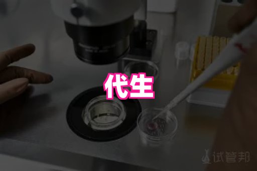 gfg孕网 4